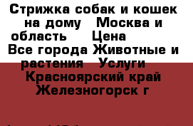 Стрижка собак и кошек на дому.  Москва и область.  › Цена ­ 1 200 - Все города Животные и растения » Услуги   . Красноярский край,Железногорск г.